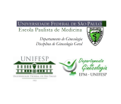 MEETING ONLINE CON DEPARTAMENTO DE GINECOLOGIA - ESCOLA PAULISTA DE MEDICINA - UNIFESP SAN PAOLO (BRASILE), SU “LASER FRAZIONATO, ESPERIENZA, INDICAZIONI E RISULTATI”